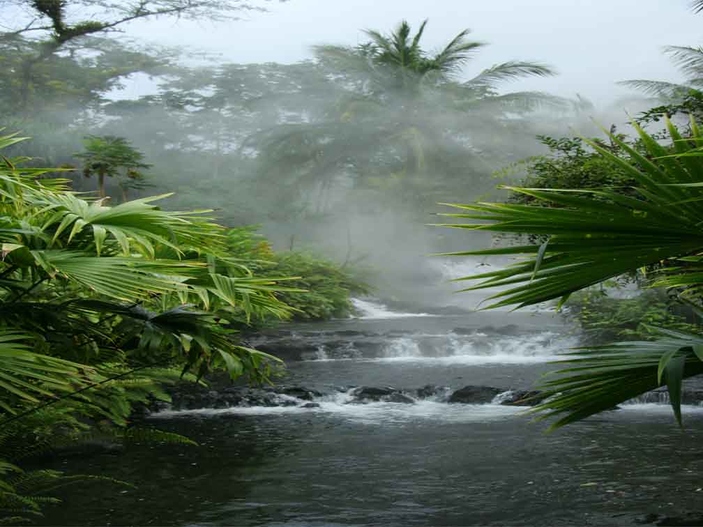 Actividades Turísticas en La Fortuna