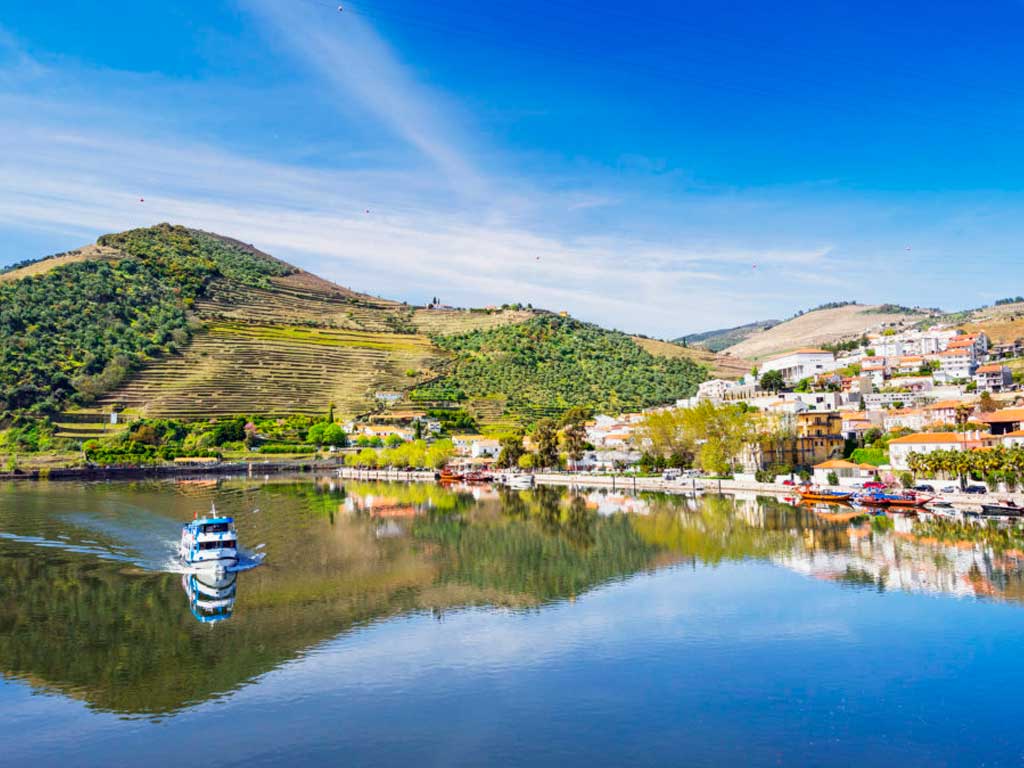 Actividades Turísticas en Oporto