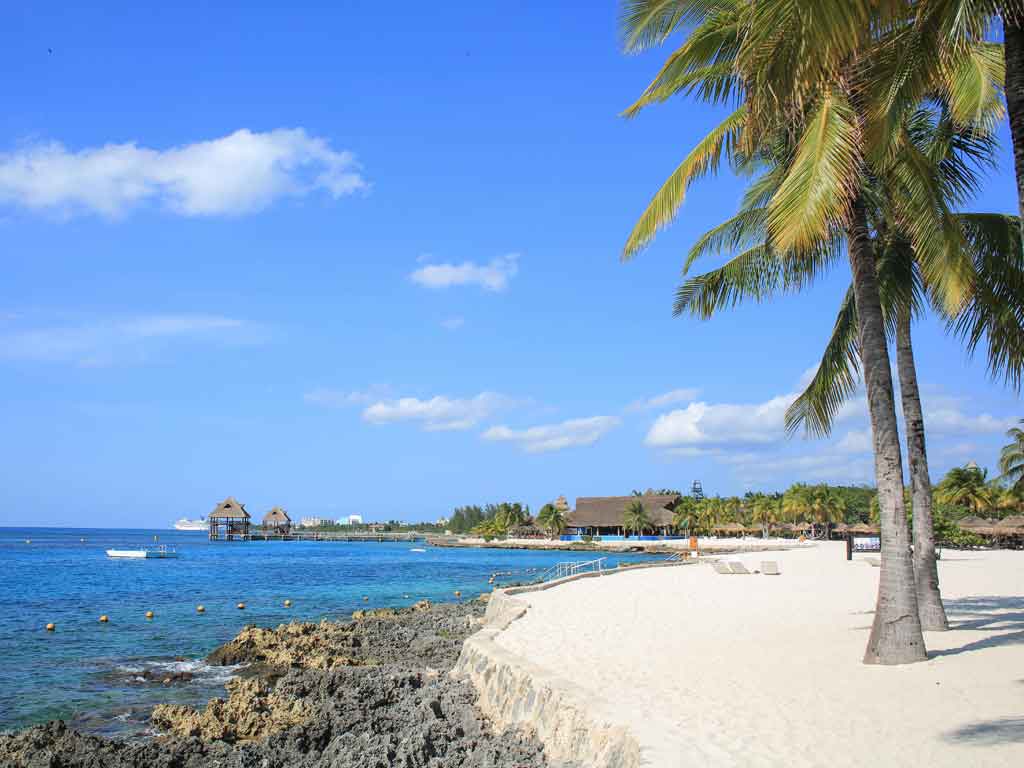 Actividades Turísticas en Playa del Carmen