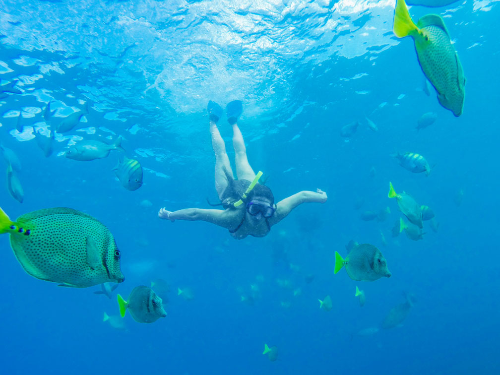 Actividades Turísticas en San José del Cabo