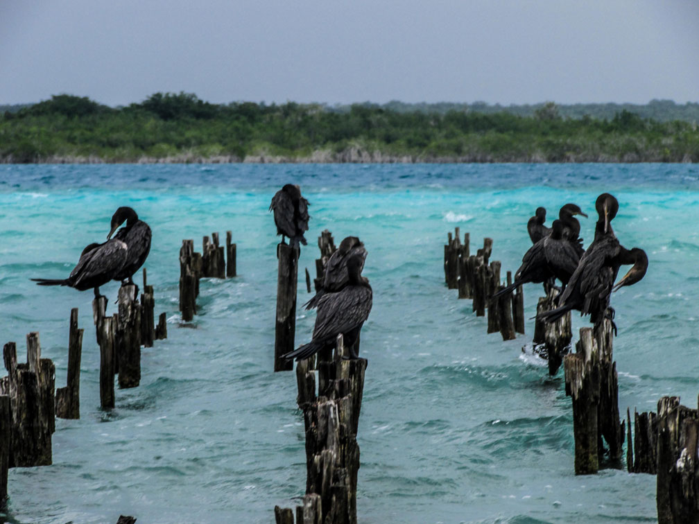 Actividades Turísticas en Tulum