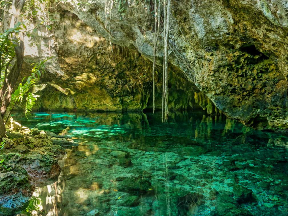 Actividades Turísticas en Playa del Carmen
