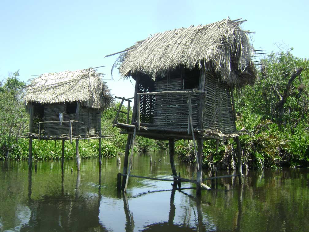 Actividades Turísticas en Rincón de Guayabitos
