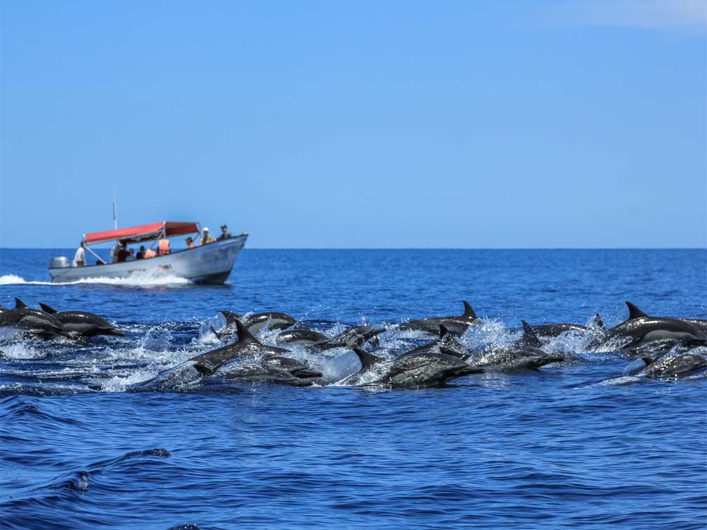 Actividades Turísticas en Rincón de Guayabitos