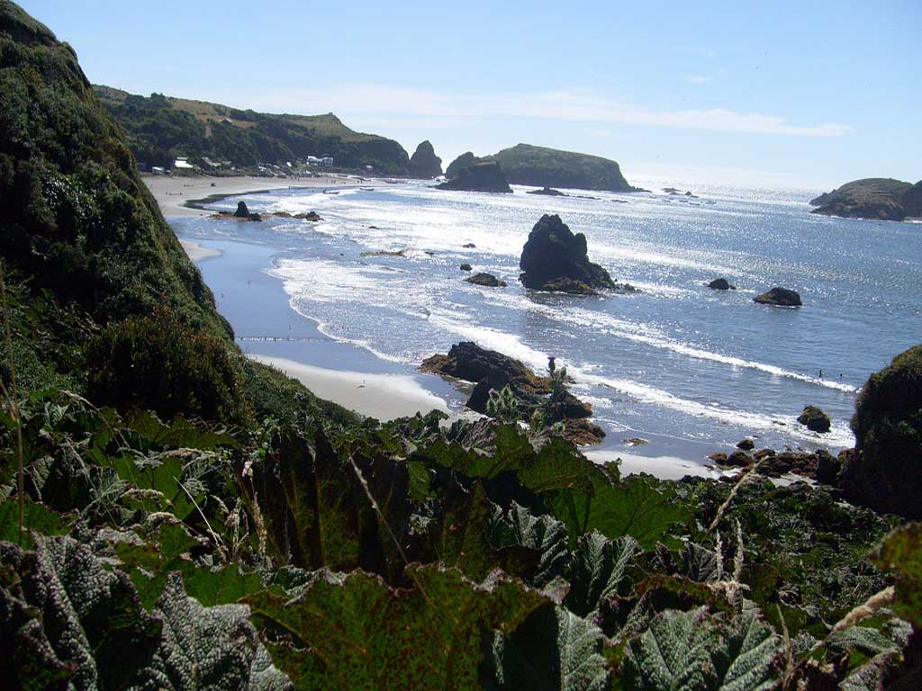 Actividades Turísticas en Puerto Varas
