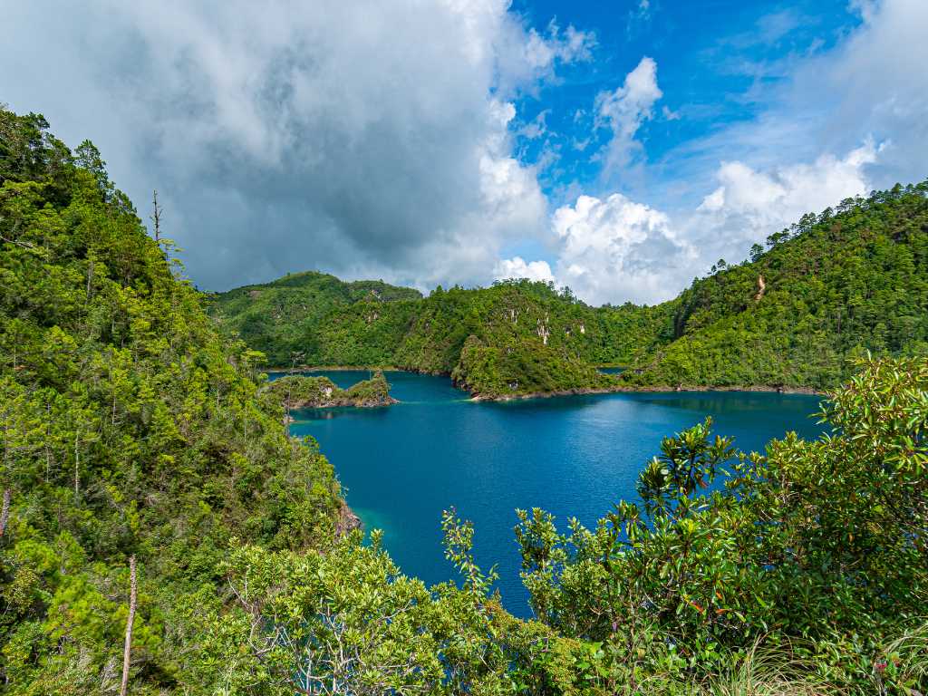 Actividades Turísticas en Puerto Escondido